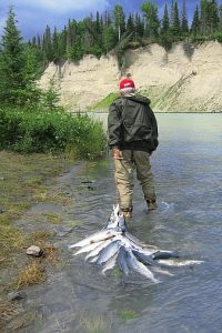 alaska-fishing-salmon-kasilof-thumbnail